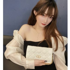 全新迪奥系列DIOR CARO 腰包S5091UWHC_M030上身效果图