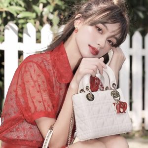 迪奥女士包包Dior LADY手袋 M0505OCAL_M030上身效果图