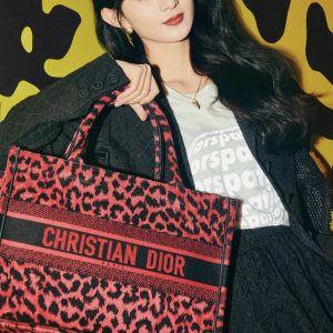 迪奥红色豹纹手袋Dior Book Tote  M1286ZRHM_M918上身效果图