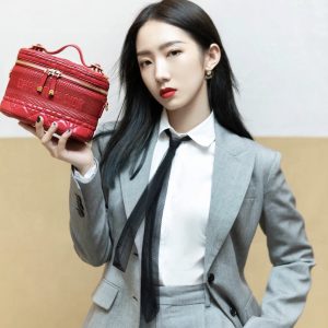 Dior迪奥化妆包限定款 18CM上身效果图