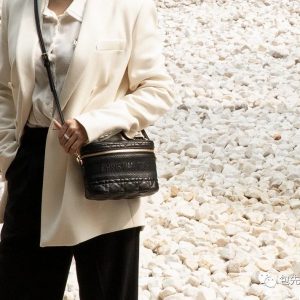 Dior迪奥手袋双十一限定款 化妆包款形 18CM上身效果图