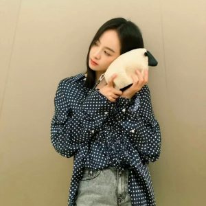 Indonesia宋茜同款羅意威小綿羊包LOEWE包包官網價格