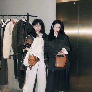 California USA羅意威蛋蛋包 羅意威 loewe官網女包