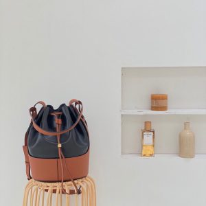 Canada Ottawa羅意威氣球包中號羅意威loewe美國官網