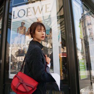 Dubai羅意威gate馬鞍包中國紅戚薇同款loewe包包價錢