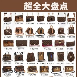 LV路易威登熱門老花包超全大盤點