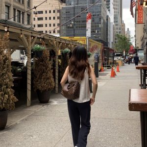 Lipetsk  LV路易威登棕格speedy25枕頭包LV波士頓枕頭包