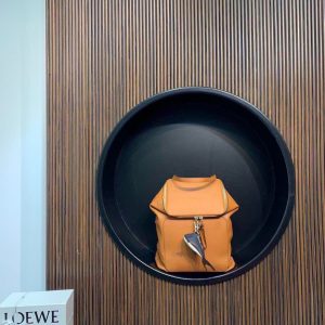 LOEWE羅意威Goya繫列雙肩包 羅意威goya什麽色好好看