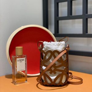 LOEWE羅意威喬欣同款 Anagram 鏤空手機包羅意威包包