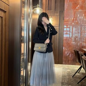 Verkh-neyvinsk  Celine Triomphe凱旋門大象灰思琳凱旋門包包