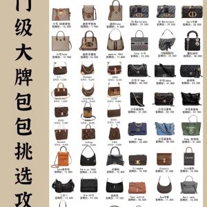 入門級大牌包包該怎麽選?奢侈品包包 包包 大牌經典包包