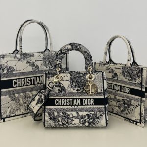 香港北區 迪奧 Dior Lady最新星座繫列迪奧 lady dior 包包