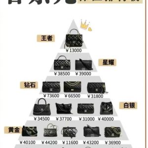 2023年香奈兒Chanel包包元素大合集 大牌包包 奢侈品
