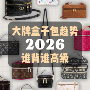 2026大牌盒子包趨勢|誰背誰是人間富貴花！